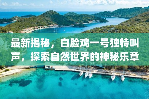 最新揭秘，白脸鸡一号独特叫声，探索自然世界的神秘乐章