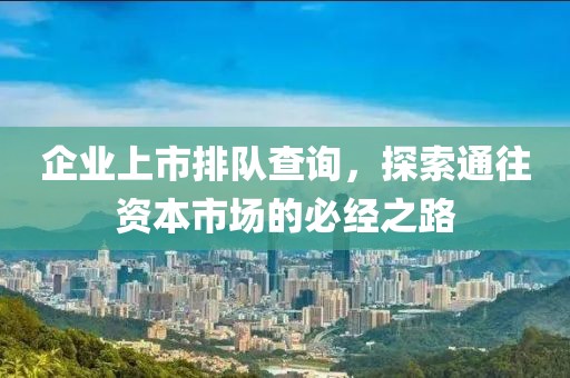 企业上市排队查询，探索通往资本市场的必经之路