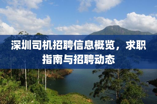 深圳司机招聘信息概览，求职指南与招聘动态