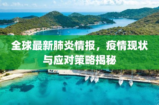 全球最新肺炎情报，疫情现状与应对策略揭秘