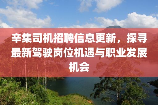 辛集司机招聘信息更新，探寻最新驾驶岗位机遇与职业发展机会
