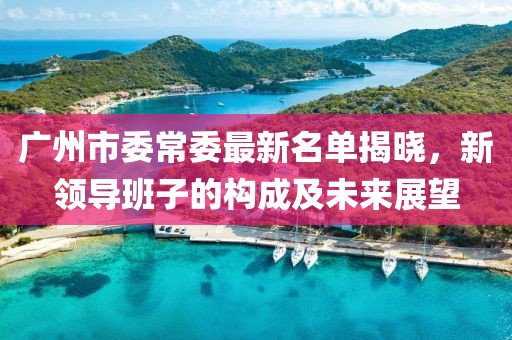 广州市委常委最新名单揭晓，新领导班子的构成及未来展望