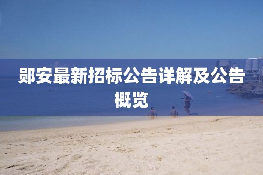 郧安最新招标公告详解及公告概览