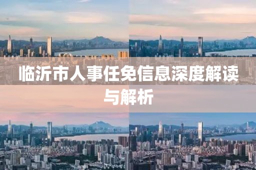 临沂市人事任免信息深度解读与解析