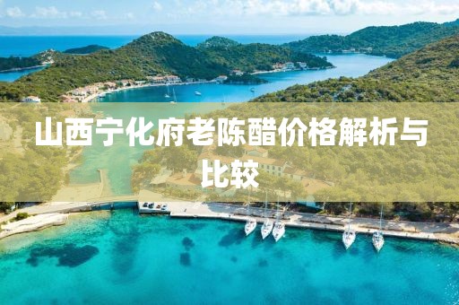 山西宁化府老陈醋价格解析与比较