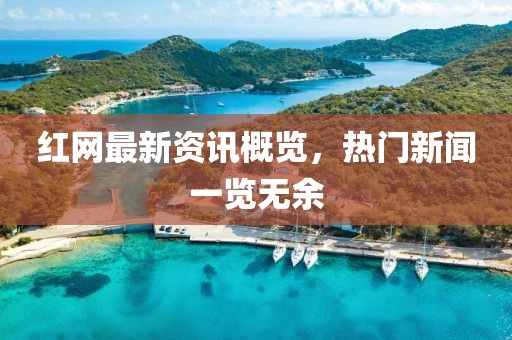 红网最新资讯概览，热门新闻一览无余