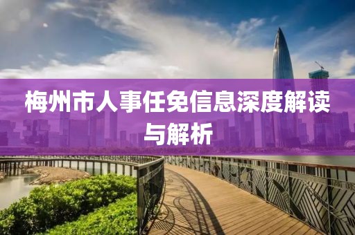 梅州市人事任免信息深度解读与解析