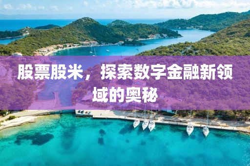 股票股米，探索数字金融新领域的奥秘