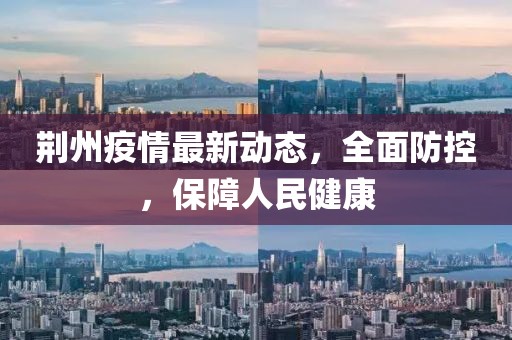 荆州疫情最新动态，全面防控，保障人民健康