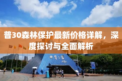 普30森林保护最新价格详解，深度探讨与全面解析