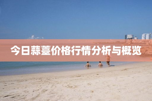 今日蒜薹价格行情分析与概览