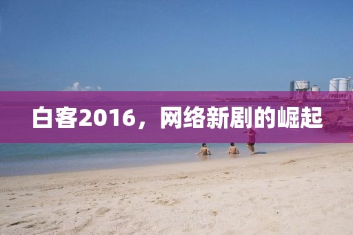 白客2016，网络新剧的崛起