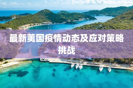 最新荑国疫情动态及应对策略挑战