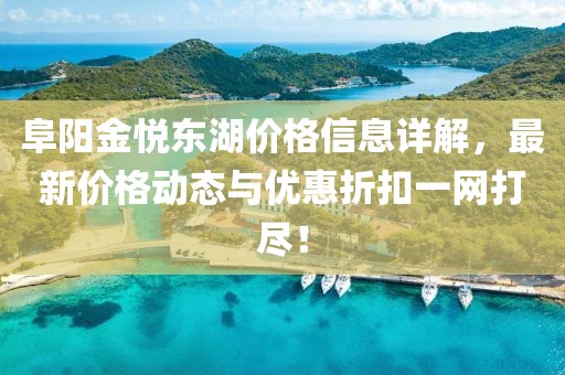 阜阳金悦东湖价格信息详解，最新价格动态与优惠折扣一网打尽！