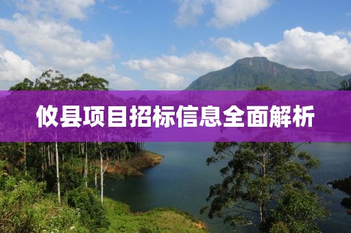 攸县项目招标信息全面解析