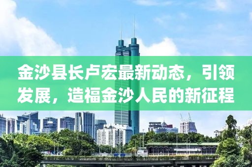 金沙县长卢宏最新动态，引领发展，造福金沙人民的新征程
