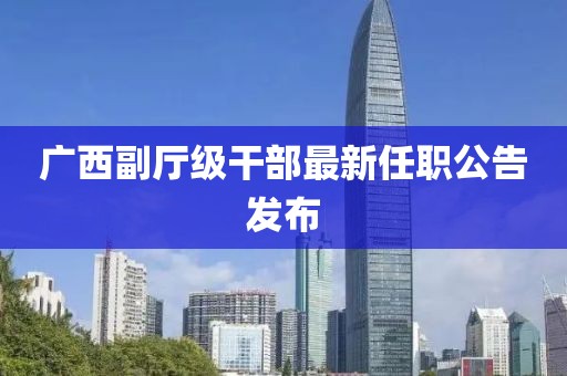 广西副厅级干部最新任职公告发布