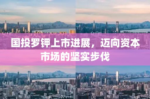 国投罗钾上市进展，迈向资本市场的坚实步伐