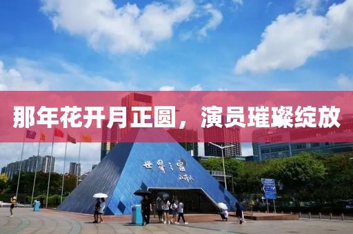 那年花开月正圆，演员璀璨绽放