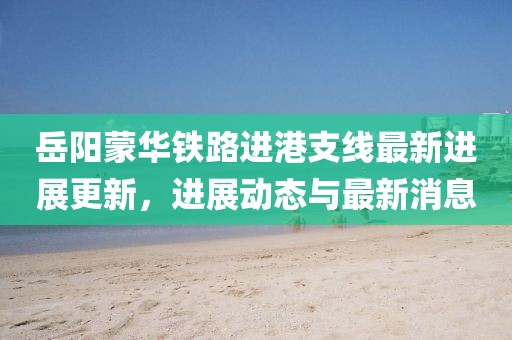 岳阳蒙华铁路进港支线最新进展更新，进展动态与最新消息