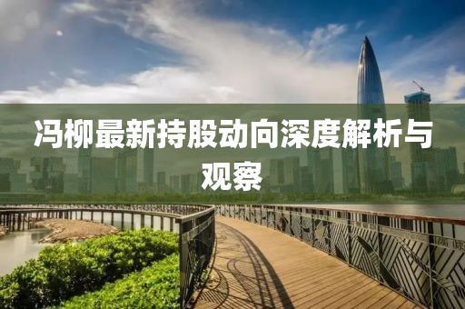 冯柳最新持股动向深度解析与观察