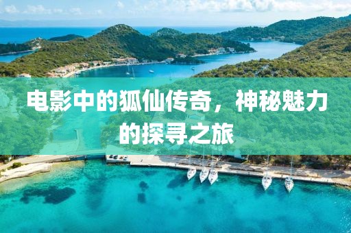 电影中的狐仙传奇，神秘魅力的探寻之旅