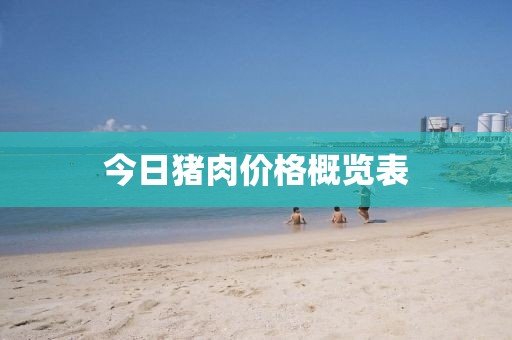 今日猪肉价格概览表