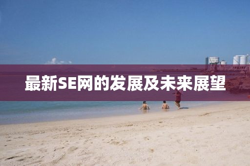 最新SE网的发展及未来展望