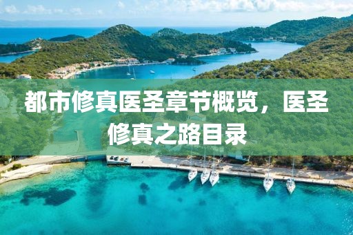 都市修真医圣章节概览，医圣修真之路目录