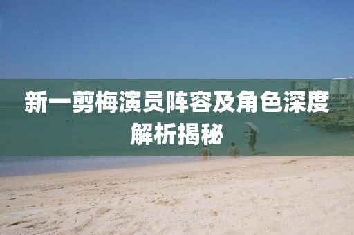 新一剪梅演员阵容及角色深度解析揭秘