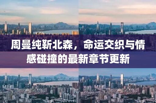 周曼纯靳北森，命运交织与情感碰撞的最新章节更新