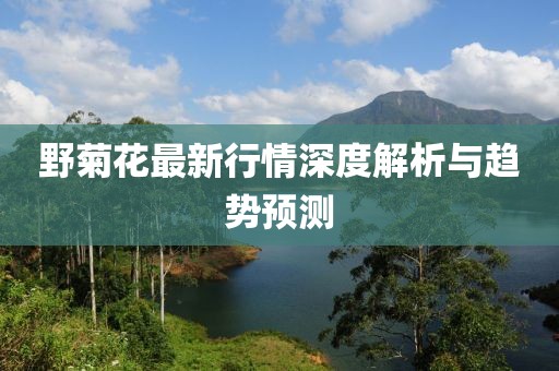 野菊花最新行情深度解析与趋势预测