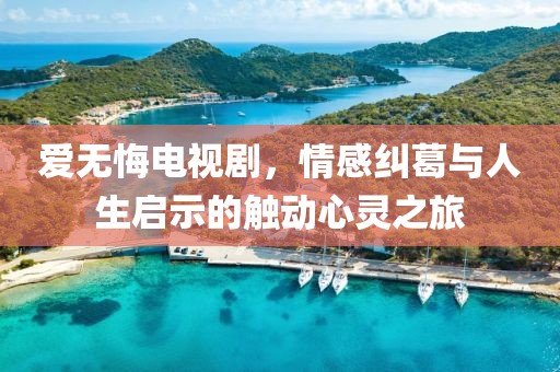 爱无悔电视剧，情感纠葛与人生启示的触动心灵之旅