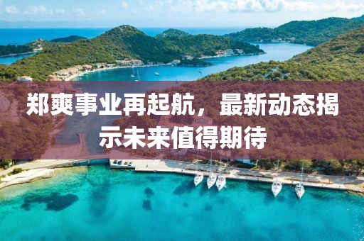 郑爽事业再起航，最新动态揭示未来值得期待