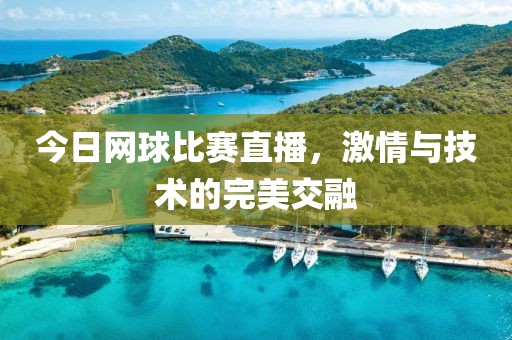 今日网球比赛直播，激情与技术的完美交融