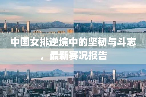 中国女排逆境中的坚韧与斗志，最新赛况报告