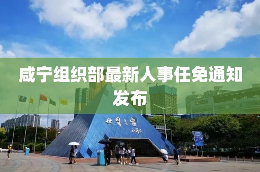 咸宁组织部最新人事任免通知发布