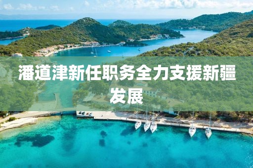 潘道津新任职务全力支援新疆发展