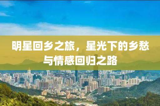 明星回乡之旅，星光下的乡愁与情感回归之路