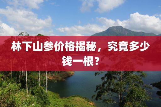 林下山参价格揭秘，究竟多少钱一根？