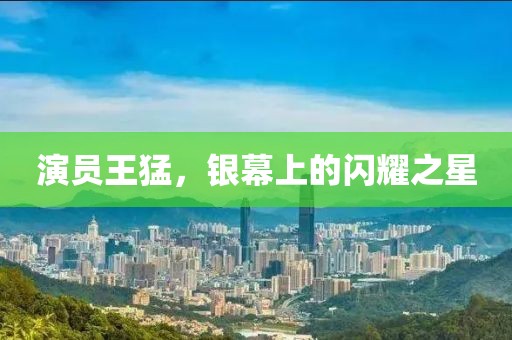 演员王猛，银幕上的闪耀之星