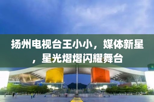 扬州电视台王小小，媒体新星，星光熠熠闪耀舞台