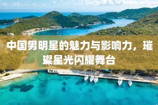 中国男明星的魅力与影响力，璀璨星光闪耀舞台