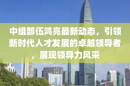 中组部伍鸿亮最新动态，引领新时代人才发展的卓越领导者，展现领导力风采