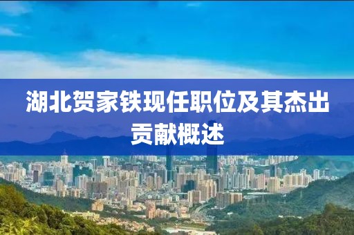 湖北贺家铁现任职位及其杰出贡献概述