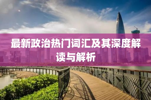 最新政治热门词汇及其深度解读与解析
