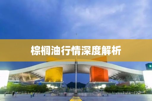 棕榈油行情深度解析