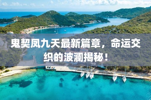 2024年12月 第10页