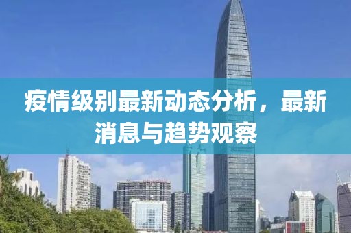 疫情级别最新动态分析，最新消息与趋势观察