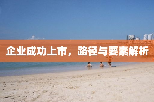 企业成功上市，路径与要素解析